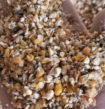 [碎玉米批发]碎玉米筛漏价格1550.00元/吨 - 一亩田