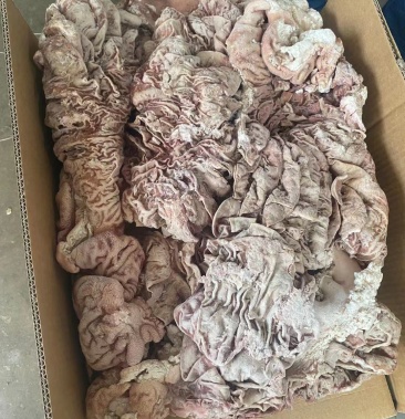 半成品牛散带,常年加工!