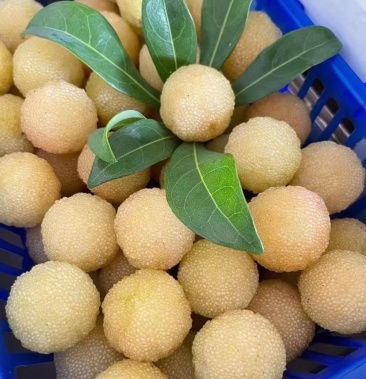 [杨梅批发]仙居白杨梅,稀有品种,水晶杨梅,土豪的来 ,每天少量价格58.