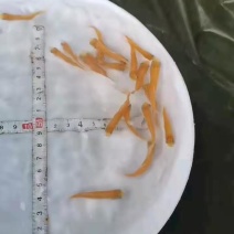 金草鱼苗-生长速度快-抗病力强-品种优良-全国发货