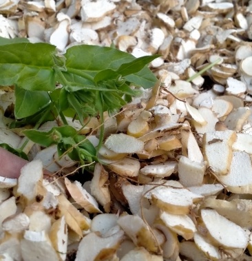 东北穿龙骨饮片穿山龙精切片一等靓片1000克起