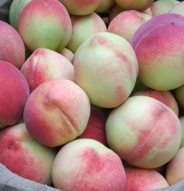 [桃批发]北京8号甜桃价格5.00元/斤 - 一亩田