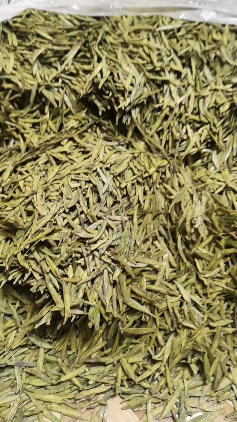 甘肃省陇南市文县碧口茶叶!有龙井茶,黄金叶,黄金芽,毛峰