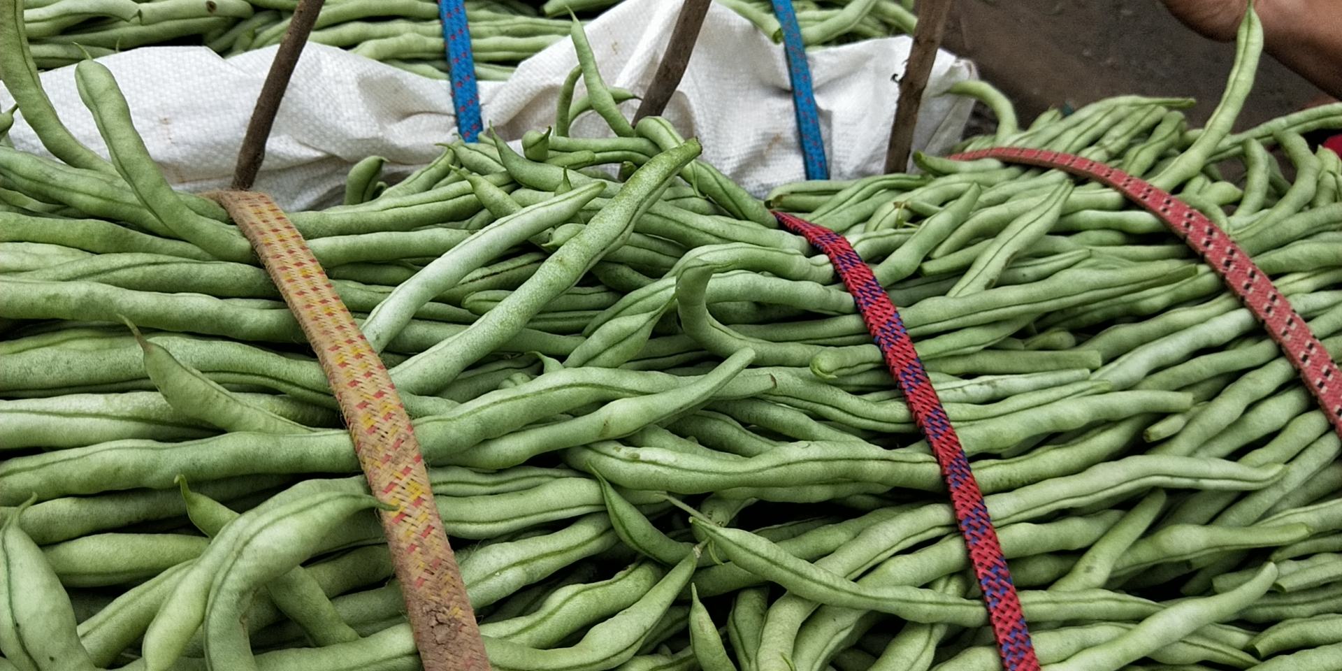白不老在厨房中准备烹饪的场景