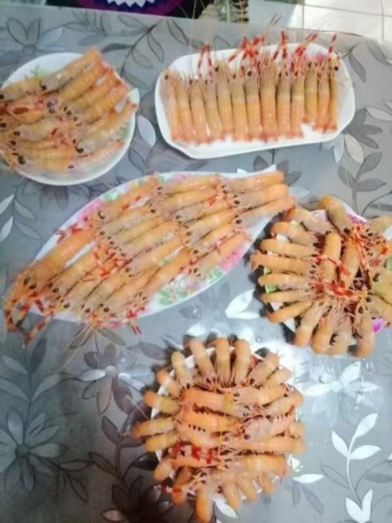 海螯虾,鲜活海螯虾活动一箱五斤,选用活虾活冻