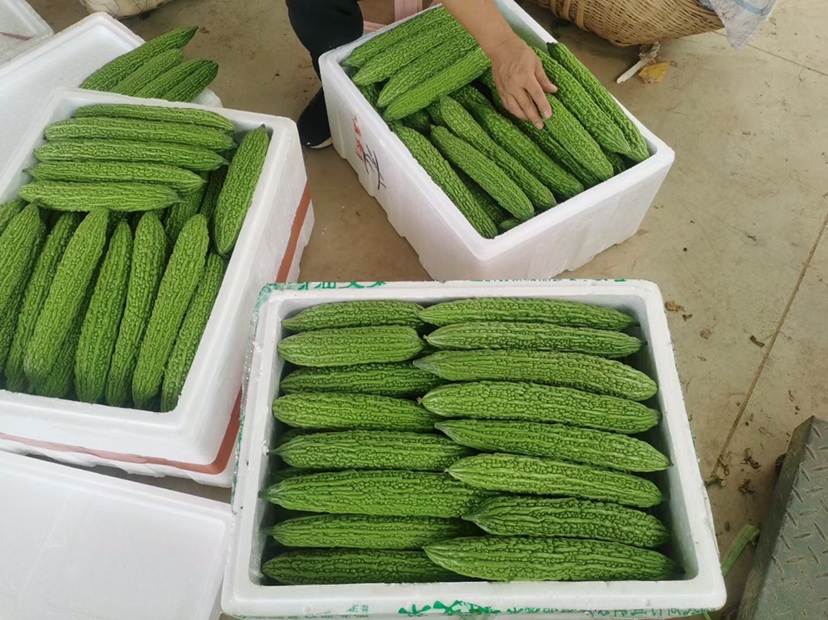 榨汁食材摆盘图