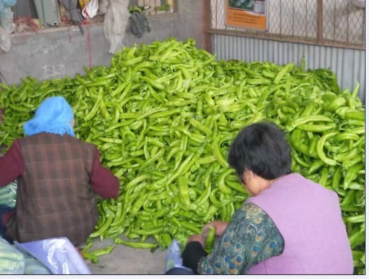 一个热闹的菜市场摊位,陈列着多种颜色和形态的辣椒,包括绿色和红色尖椒、朝天椒、线椒等,摊主正在整理货物,背景有人流往来,展现尖椒在日常生活中的普遍性 菜市场摊位上的各类辣椒展示