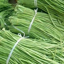 城固豇豆，条直无虫眼，颜色翠绿。50—70公分，现货！