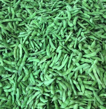 毛豆新鲜带壳现摘生毛豆荚嫩毛豆角青豆米子卤煮凉拌