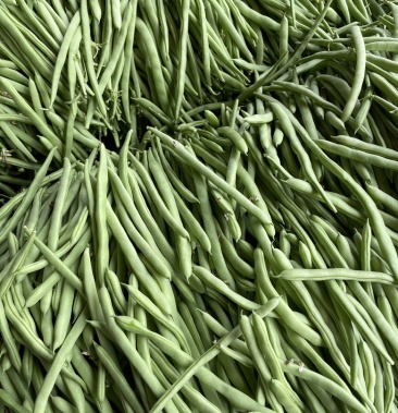 [豆角批发]精品小金豆,条形好,产地直供货源充足,大量上市…价格1.