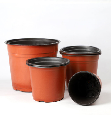 双色软塑育苗营养钵培育盆盆栽绿植多肉塑料花盆扦插育苗