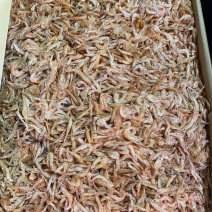 河虾干无盐虾干烤虾烘干虾一件20斤5斤起批发