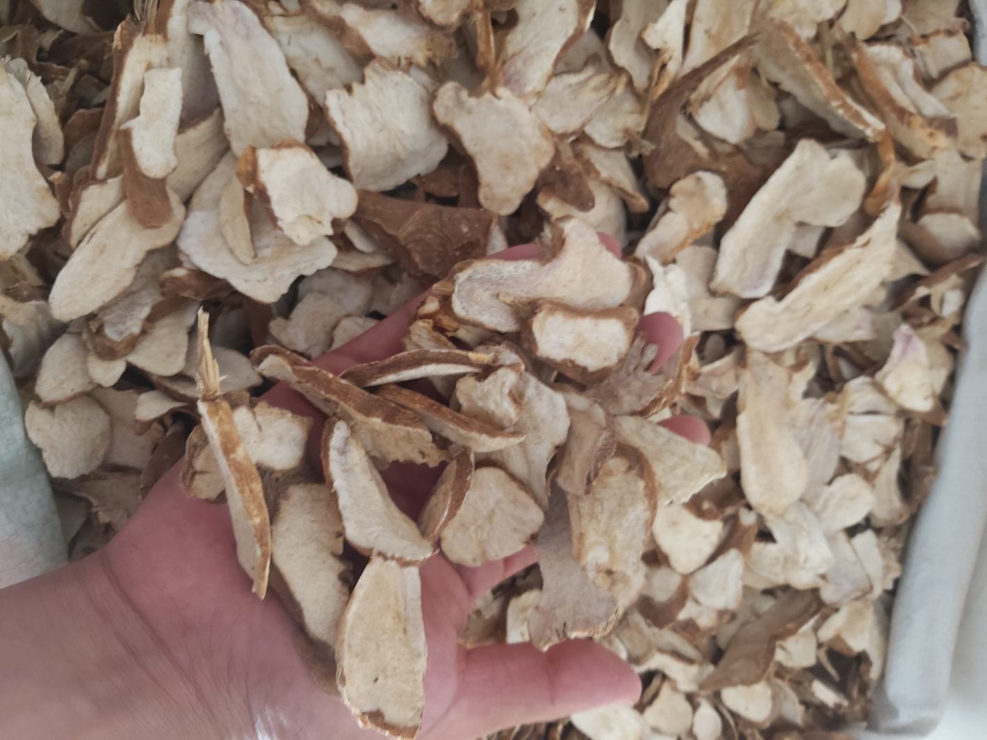 中药房中白术片与其他药材的组合图