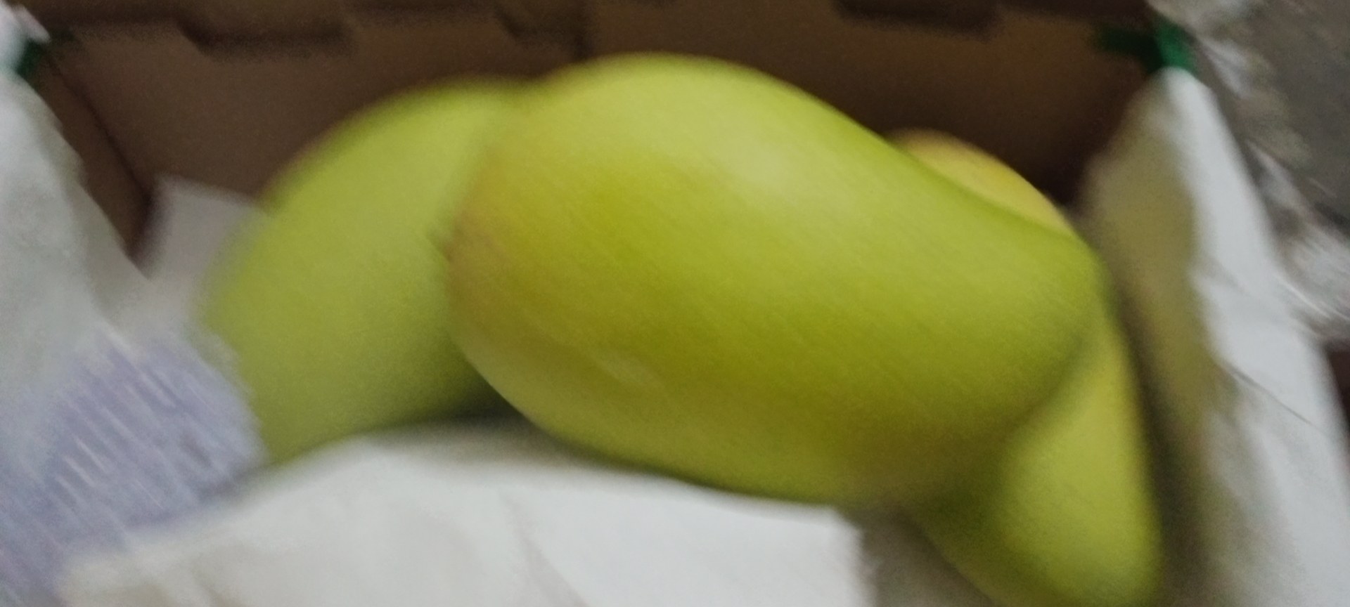 金煌芒放入牛皮纸袋并与成熟香蕉共同放置