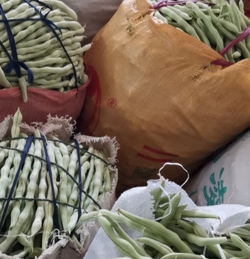 [白豆批发]白豆王绿无丝价格1.10元/斤 - 一亩田