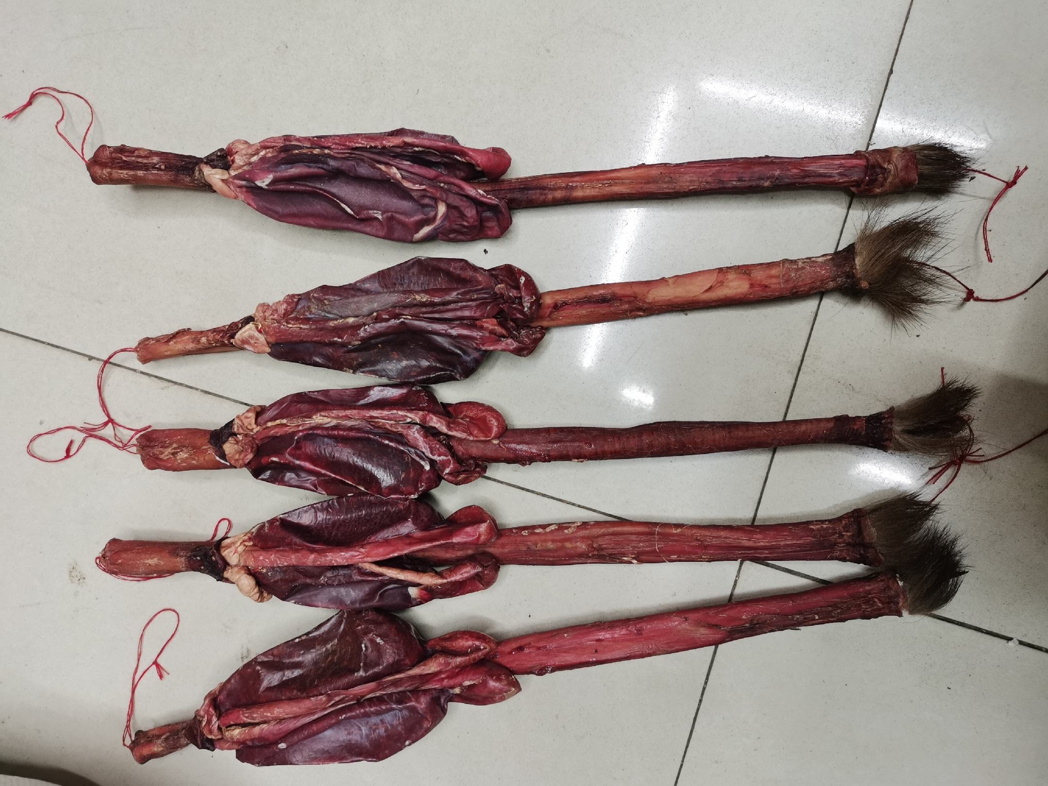 梅花鹿鞭与乌梢蛇交接器并置对比图（左：梅花鹿鞭干品，红褐色，海绵体纹理清晰；右：乌梢蛇Y形交接器，灰白僵硬，无血管结构）