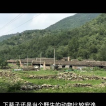 土地在北京怀柔自然1环境好