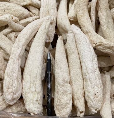 大方冬荪无裙竹荪贵州大方县特产菌品