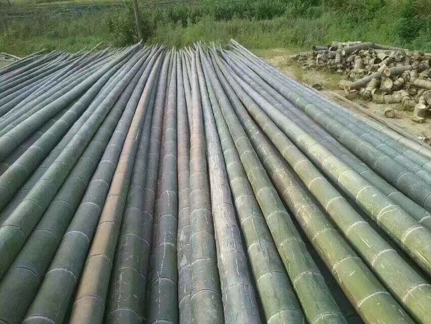 鱼腥草根晾晒图