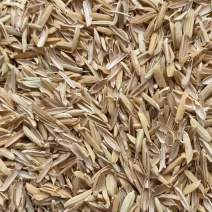 压缩稻壳、打包稻壳、壳糠、统糠各种规格、干净无杂质无霉变