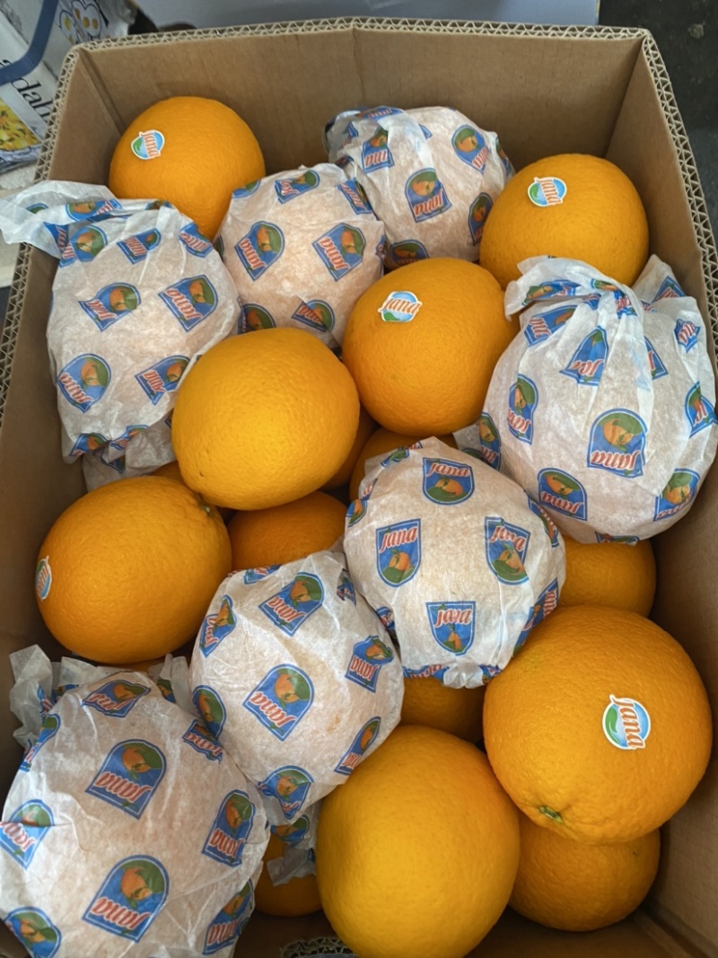 埃及橙进口橙一级果30斤细皮够硬