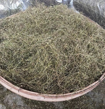 百花蛇舌草广西野生茶500g白花蛇舌草新鲜干货中药材包