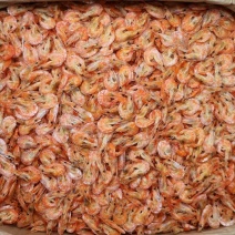 一德路大号即食烤虾干干虾仁干海米干虾米网红零食一件代发
