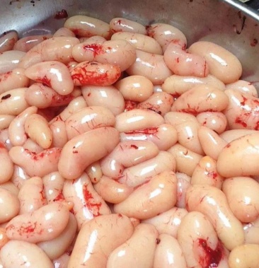 [鸡子批发]鸡子价格100.00元/斤 - 一亩田