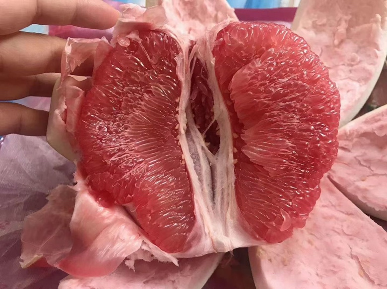 红心蜜柚剖面特写：果肉呈均匀粉红色，汁胞饱满透亮，可见细微红色脉络，背景为漳州平和县柚园梯田