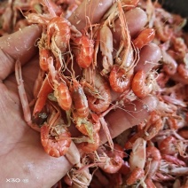 山东冯家勾虾爪虾鳌虾夹板虾味道鲜，不咸活虾加工产地直发