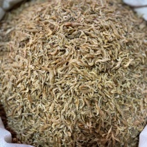 河虾干无盐虾干淡水虾干宠物虾干小虾干5斤起批