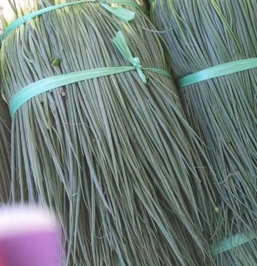 [大葱批发]细叶生葱价格2.50元/斤 - 一亩田