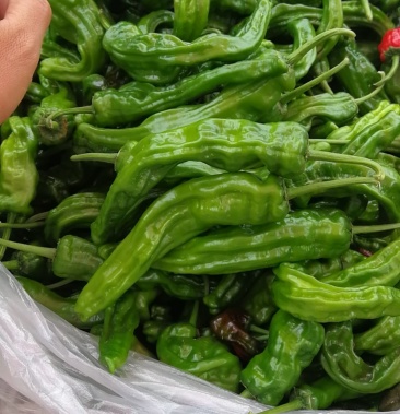 [鲜辣椒批发]枣庄皱皮辣椒价格1.00元/斤 - 一亩田