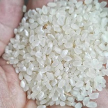 25年粳稻嘉花，优粳，出米70-71，口感**，米饭香甜