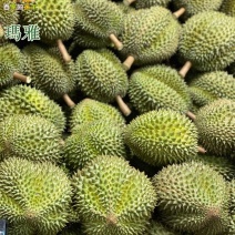 泰国玛雅榴莲8kgs顺丰包邮