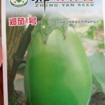 茄子种子皮色油绿肉质细腻早熟抗病强味甘