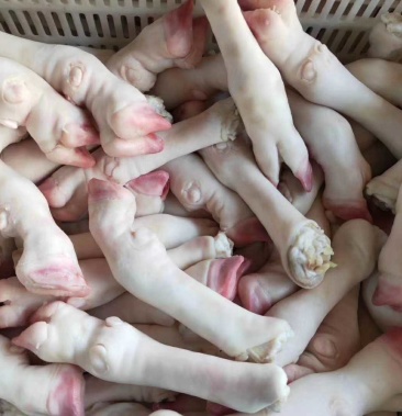 国产糕羊育肥羊蹄个均匀白蹄