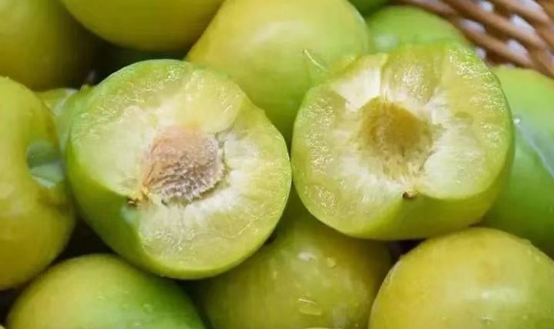 青脆李子果核与果肉分离示意图