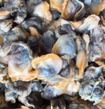 新鲜毛蛤蜊肉雪蛤蜊肉