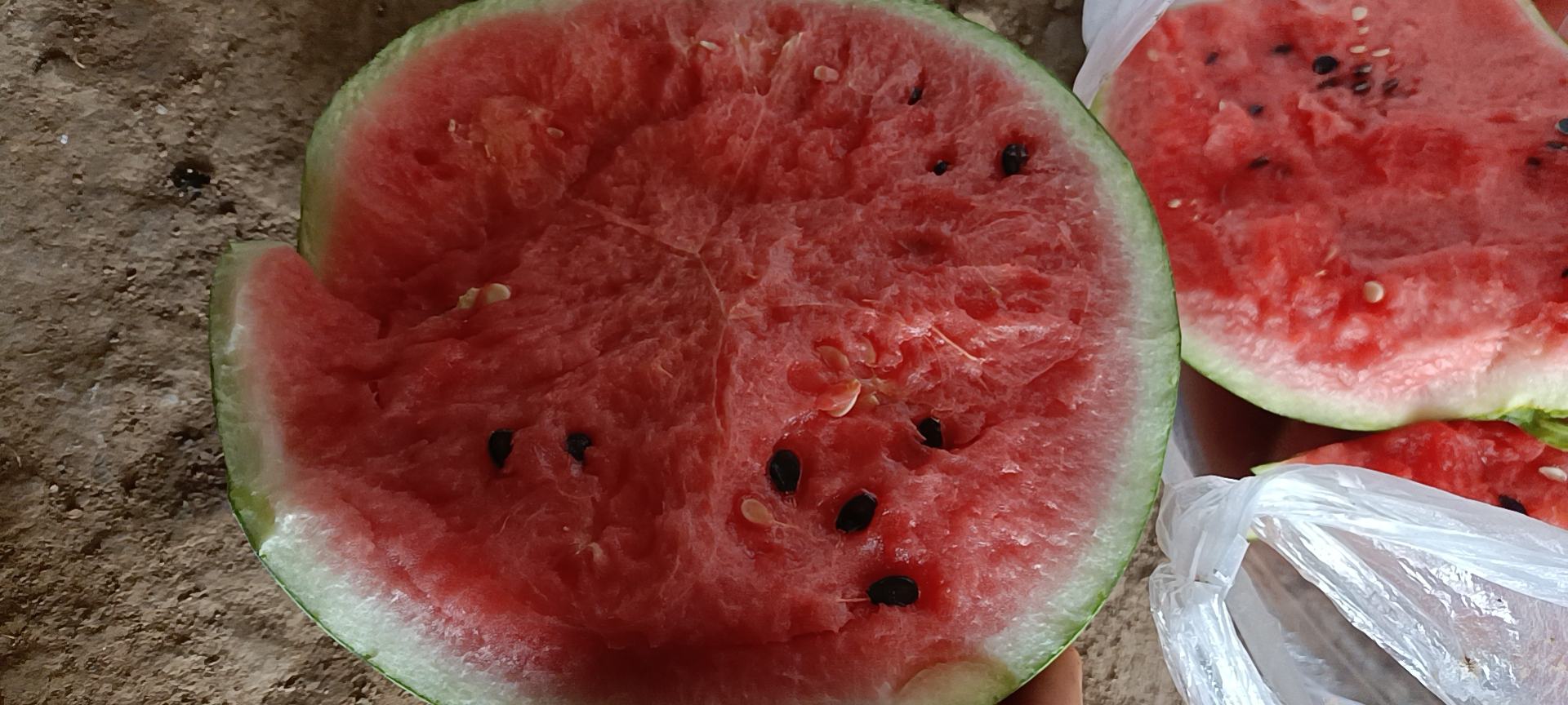 两张并列高清照片,左侧为切开的无籽西瓜,显示红色果肉中散布少量白色退化种皮;右侧为切开的有籽西瓜,果肉中可见大量黑色成熟种子。背景为农田环境,标注品种名称‘黑蜜5号’与‘京欣1号’ 无籽西瓜与有籽西瓜外形对比图