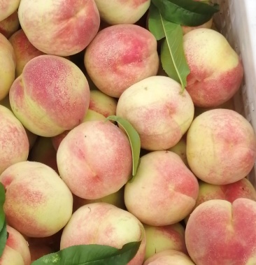 [红桃批发]沙红桃价格1.50元/斤 - 一亩田