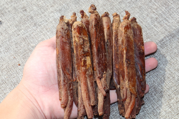 高丽参与免疫细胞作用机制示意图