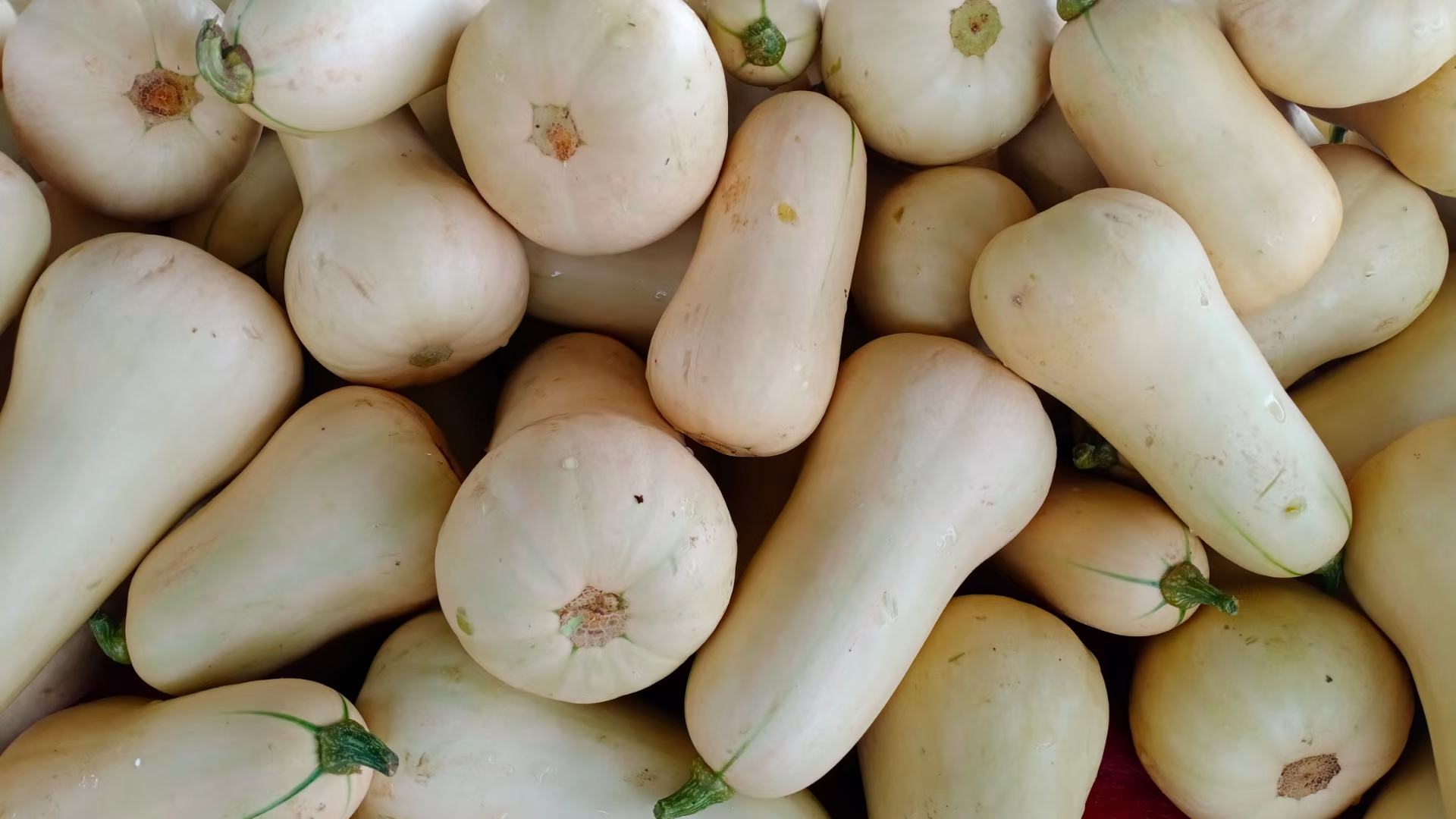 厨房操作台上摆放着制作奶油南瓜圆的所需食材：切块的老南瓜、糯米粉、打发好的淡奶油、小碗和擀面杖，旁边是一盘刚搓好的生坯圆子