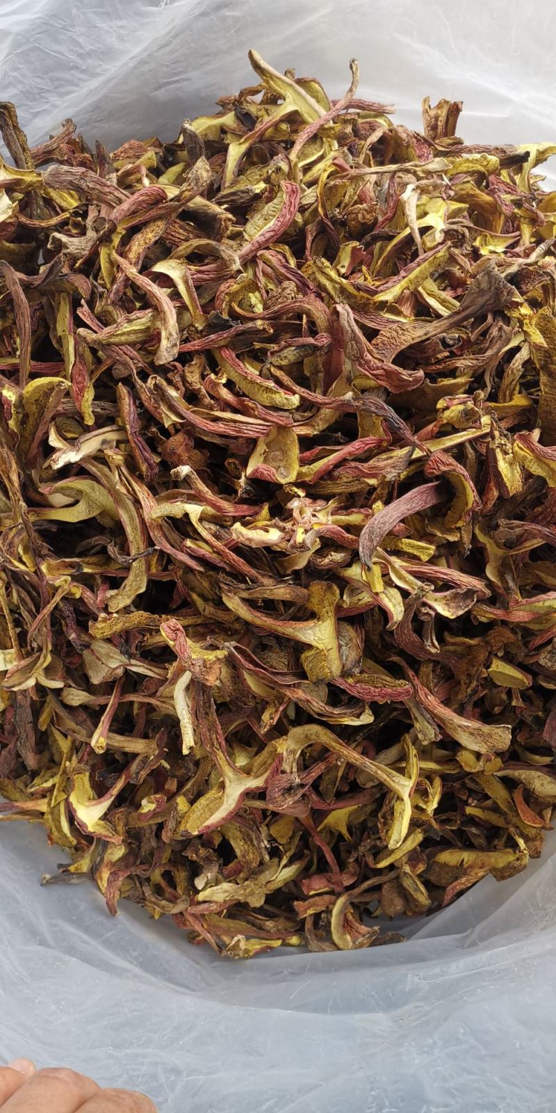 相关热卖产品野生红葱牛肝菌 红葱菌见手青菌云南野生菌干货干片06