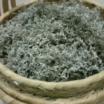 藤茶
