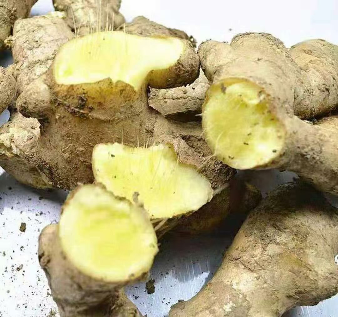 生姜切片特写,纹理清晰,色泽金黄,边缘略带透明 生姜切片特写