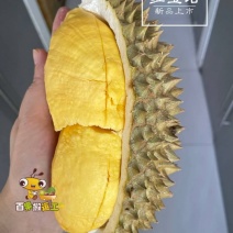 红宝石榴莲8公斤