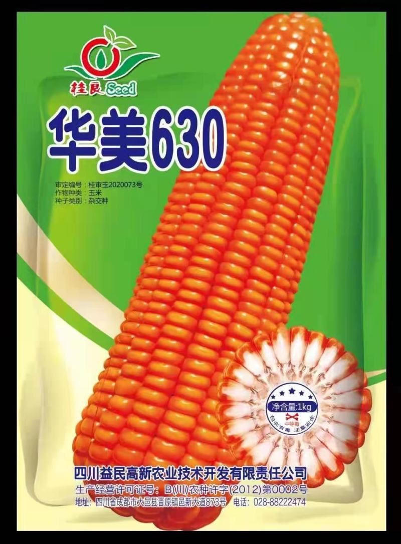 正大999玉米种简介图片