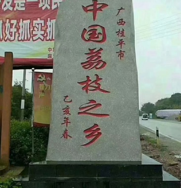 中国荔枝之乡麻垌特产桂味禾荔为主欢迎客商前来选购洽谈