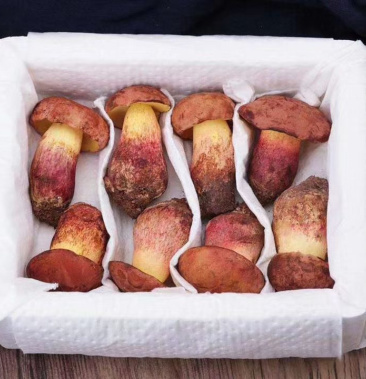 价             1公斤             产地             云南楚雄禄丰县